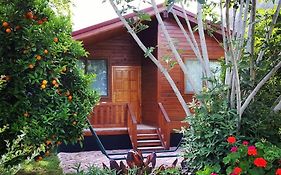 Asya Bungalow Cirali